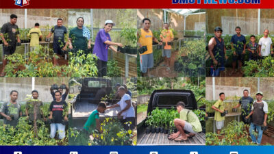 Jemaat GPM Nusaniwe Airlouw Dorong Kemandirian Ekonomi Lewat Gerakan Menanam Cabe