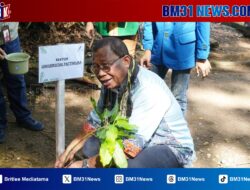 BPOM Maluku dan Universitas Pattimura Tanam 500 Bibit Mangga dalam Gerakan Sejuta Pohon