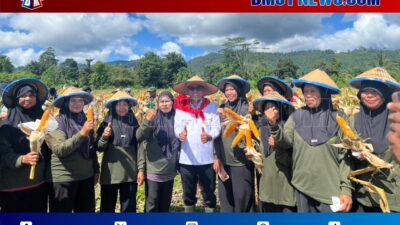 Bupati Maluku Tengah Dorong Petani Tehoru Perkuat Pengembangan Jagung untuk Ketahanan Pangan