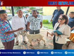Bank Maluku-Malut Cabang Utama Ambon Perkuat Solidaritas Sosial Lewat Penyaluran Hewan Kurban