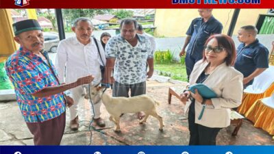 Bank Maluku-Malut Cabang Utama Ambon Perkuat Solidaritas Sosial Lewat Penyaluran Hewan Kurban