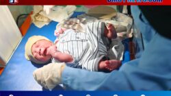 Bayi Perempuan Ditemukan dalam Kardus di Trotoar Ambon