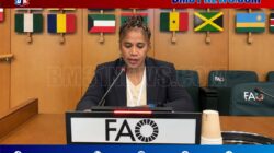 Dari Roma, Saniri Alifuru Dorong Hak Masyarakat Adat Maluku atas Tanah dan Laut