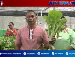 Hidroponik Unpatti Didorong Jadi Mesin Usaha Produktif BLU