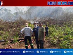 Karhutla di Kezia Siwang, Damkar Kerahkan Dua Armada