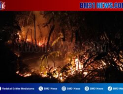 Kebakaran Hutan di Pensip Gunung Nona Kota Ambon Terkendala Pasokan Air